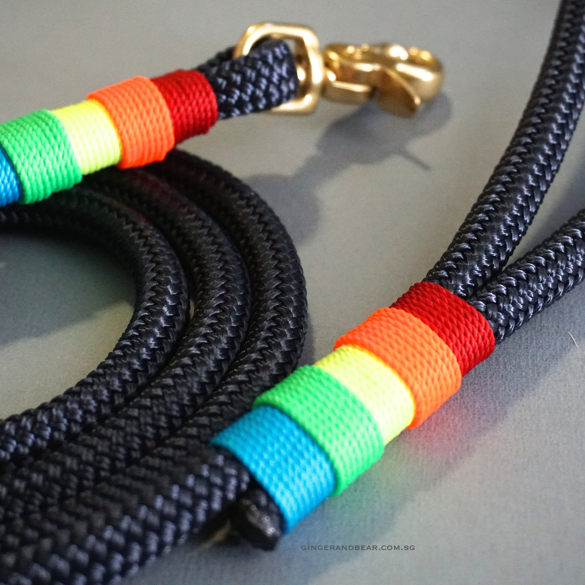 Rugged Hudson Leash: Rainbow on Navy