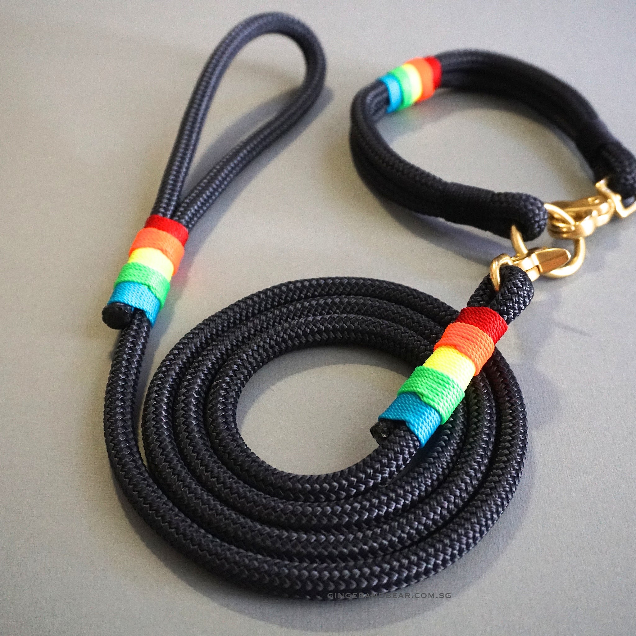 Rugged Hudson Leash: Rainbow on Navy