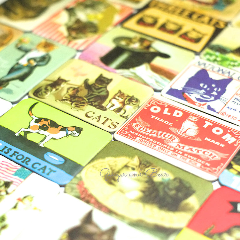 Stationery: Cavallini Vintage Cats Magnets