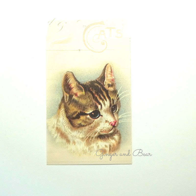 Stationery: Cavallini Vintage Cats Petite Parcel Set