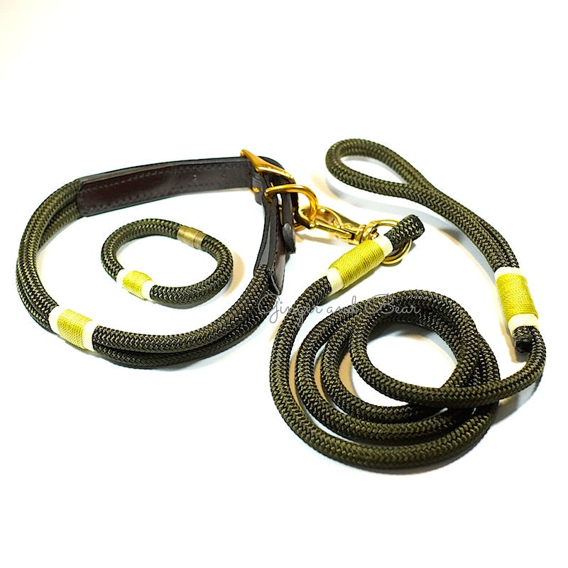 Rugged Hudson Leash: Gold Olive