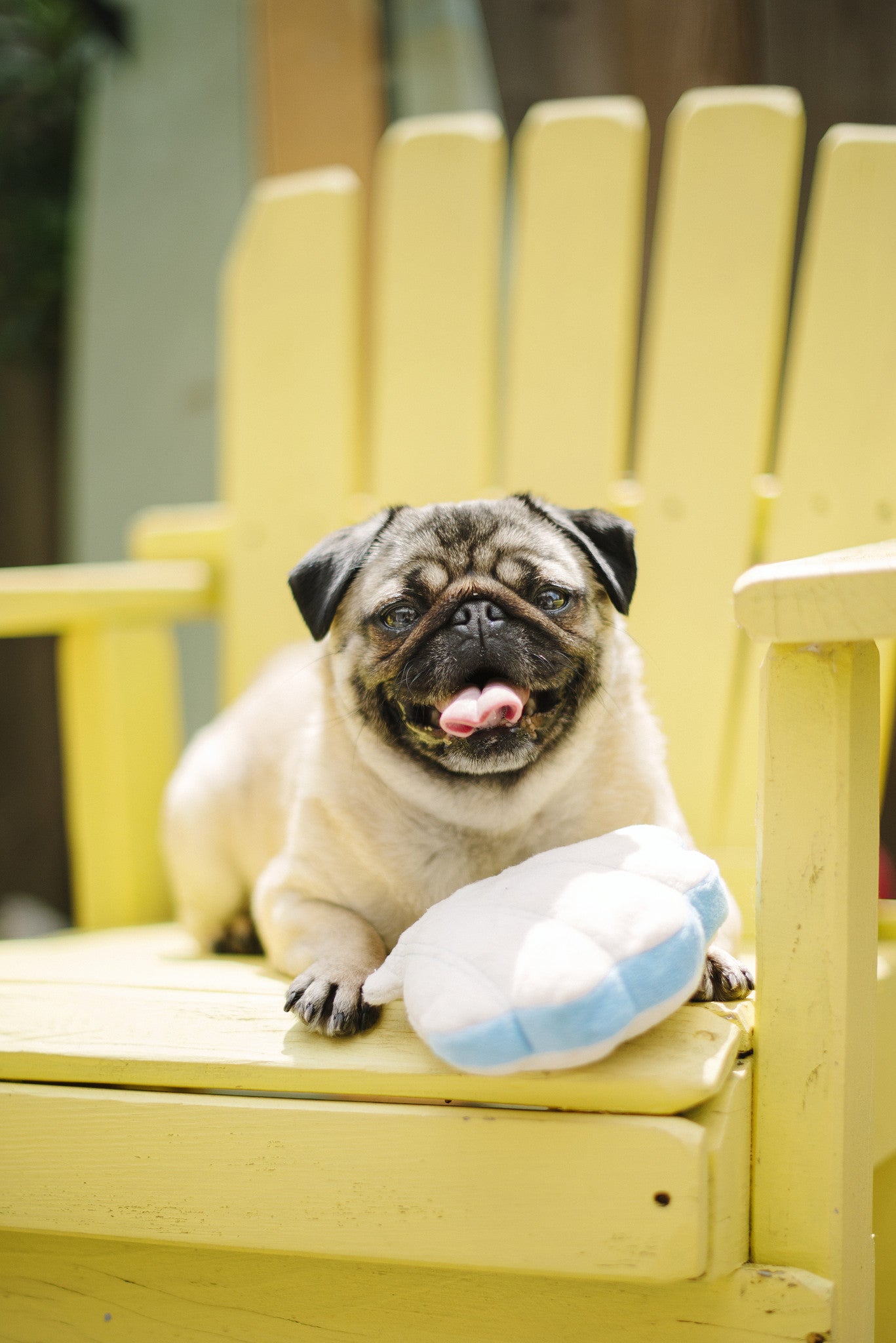 P.L.A.Y Under the Sea Squeaky Plush Dog Toy, Giant Clam