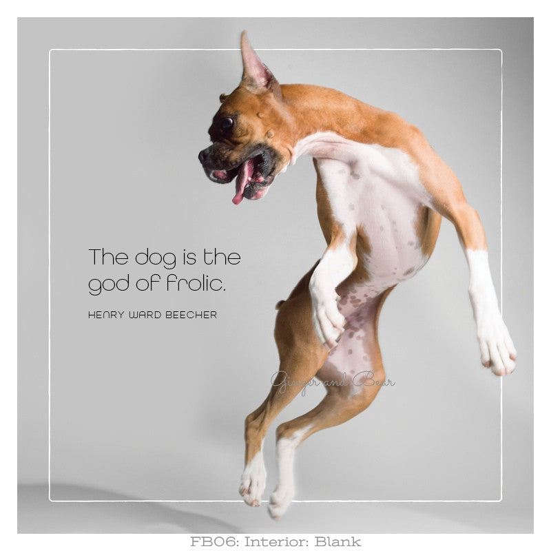 Famous Barks: Lily's Dog is the God of Frolic