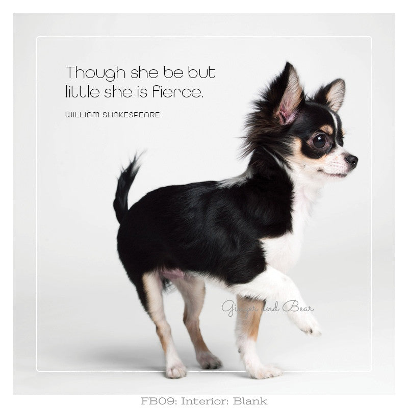 Famous Barks: Rocco's She Be Fierce