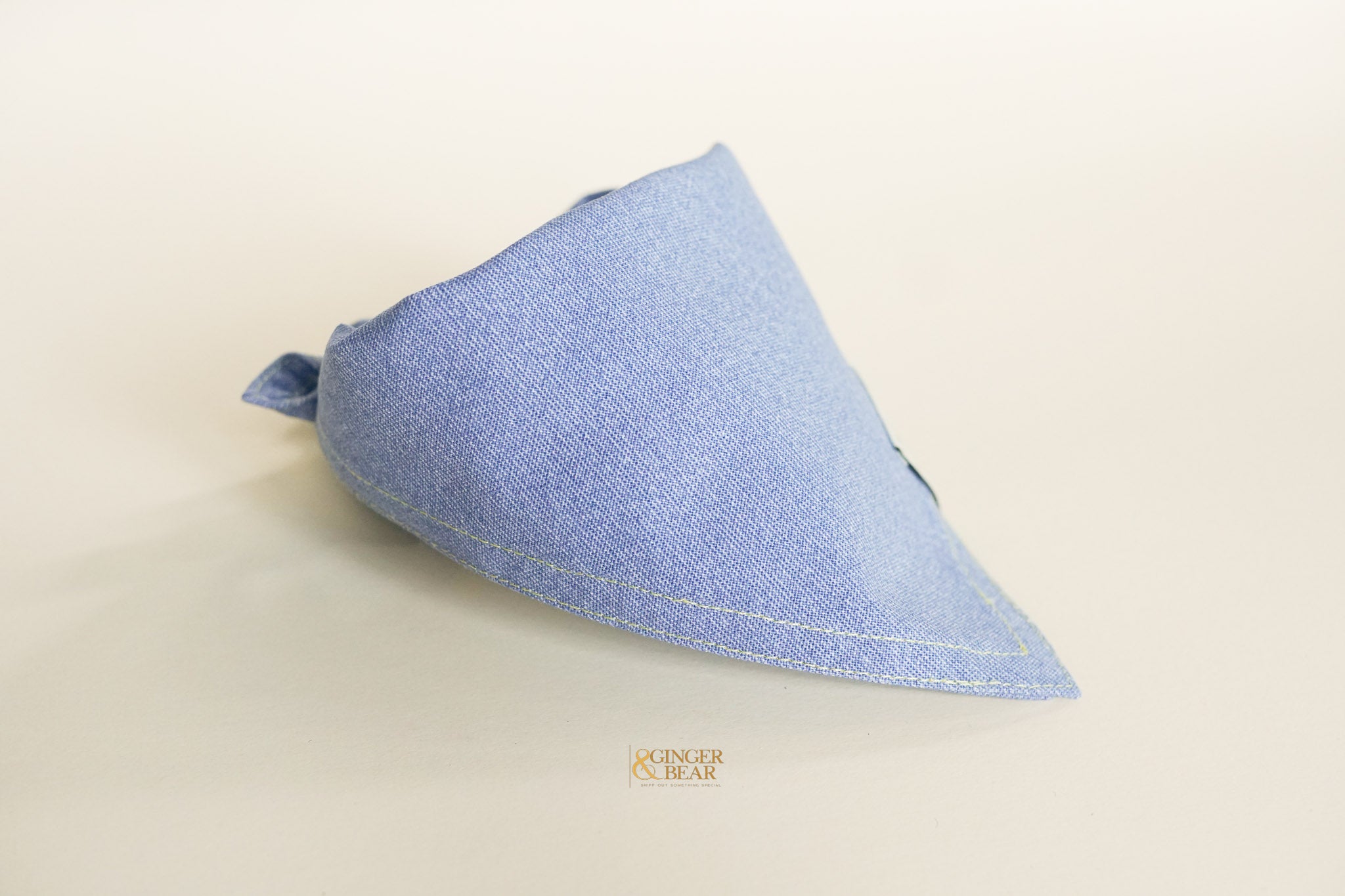 Emily Jean, Dog Bandana