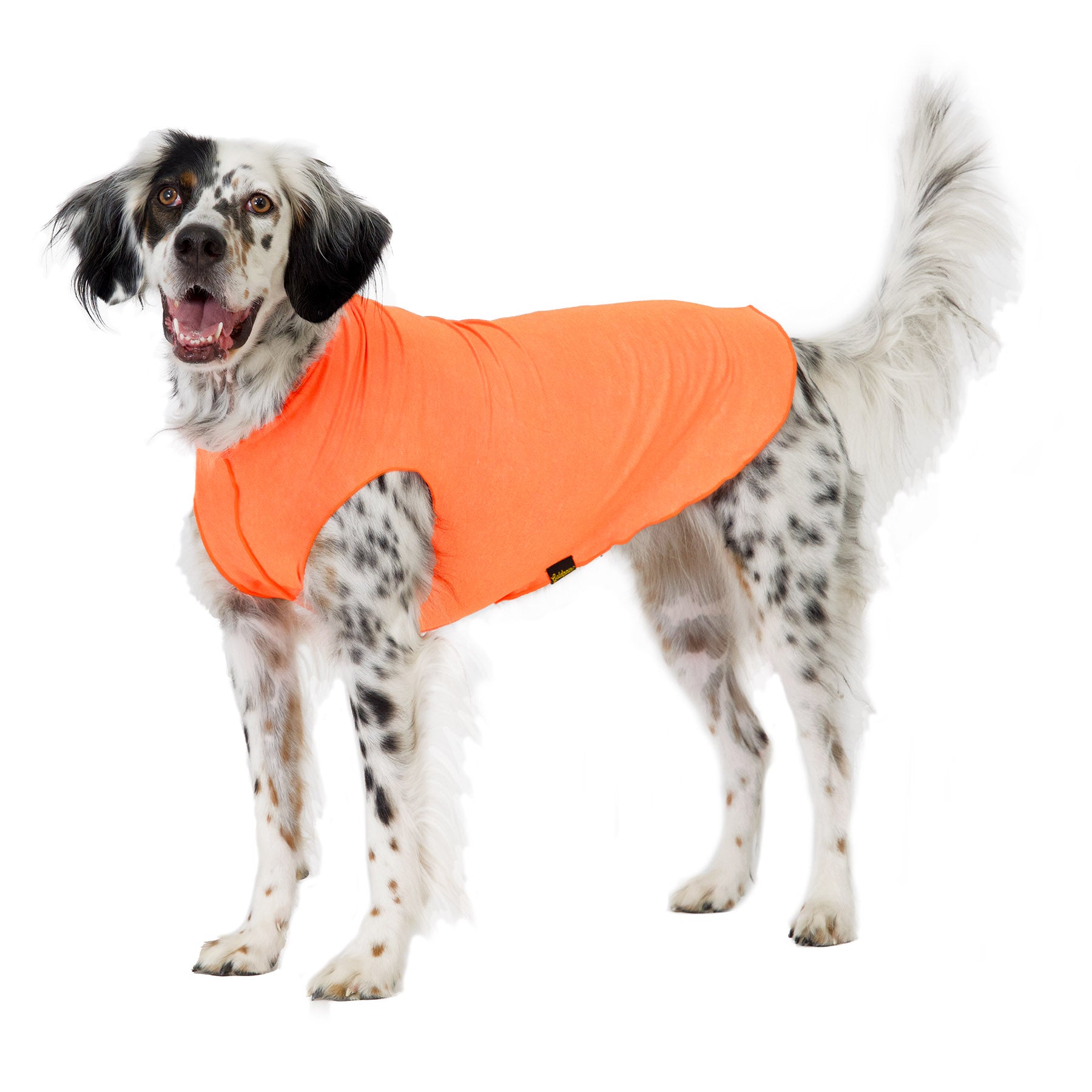 Sun Shield Tee shirts for Dogs and Cats, in Neon Orange