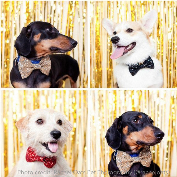 Bow tie: Glitter Midnight (FINAL SALE)