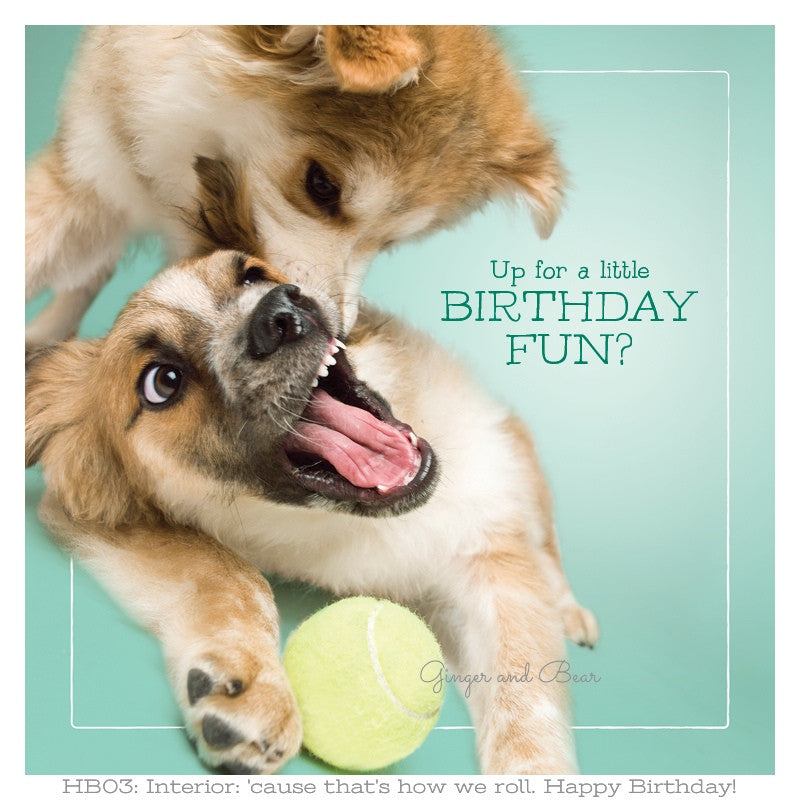Happy Birthday: Bandit & Zorro's Birthday Fun