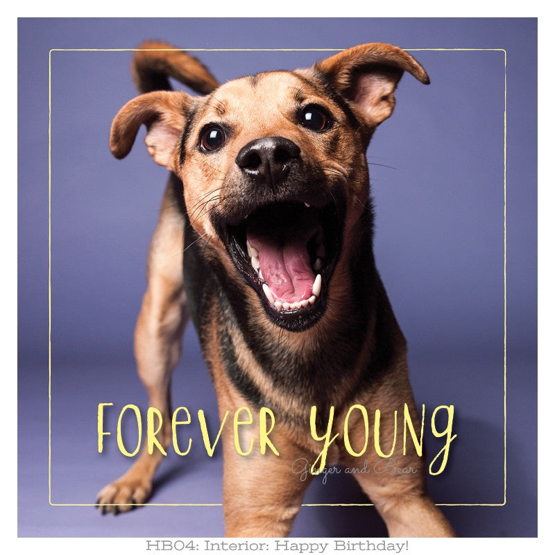 Happy Birthday: Rudy's Forever Young Happy Birthday