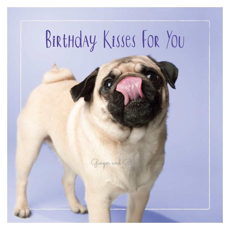 Happy Birthday: Pug Birthday Kisses