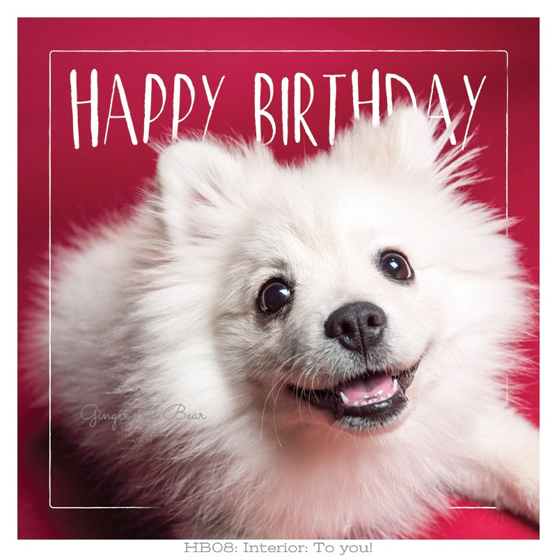 Happy Birthday: Roxy's Cute Happy Birthday