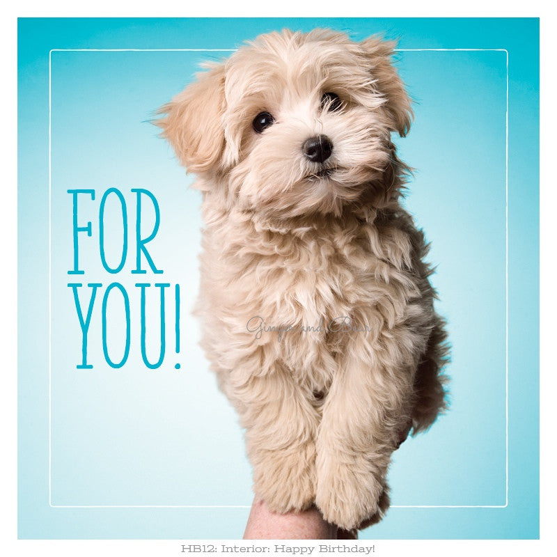 Happy Birthday: Madison's For You Happy Birthday