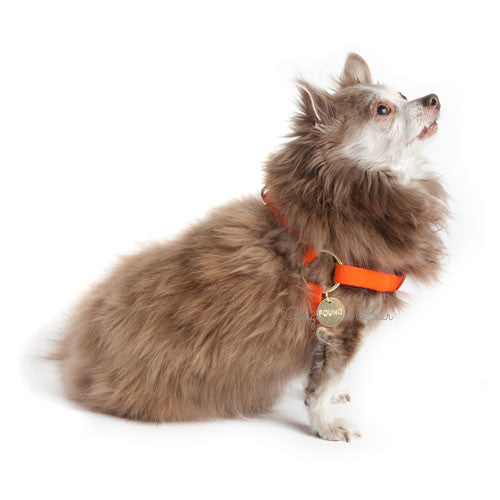 Hand dyed Harness, Orange