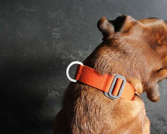Dog Collar: Weave Cotton