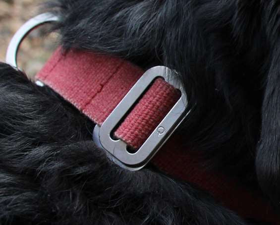 Dog Collar: Weave Cotton