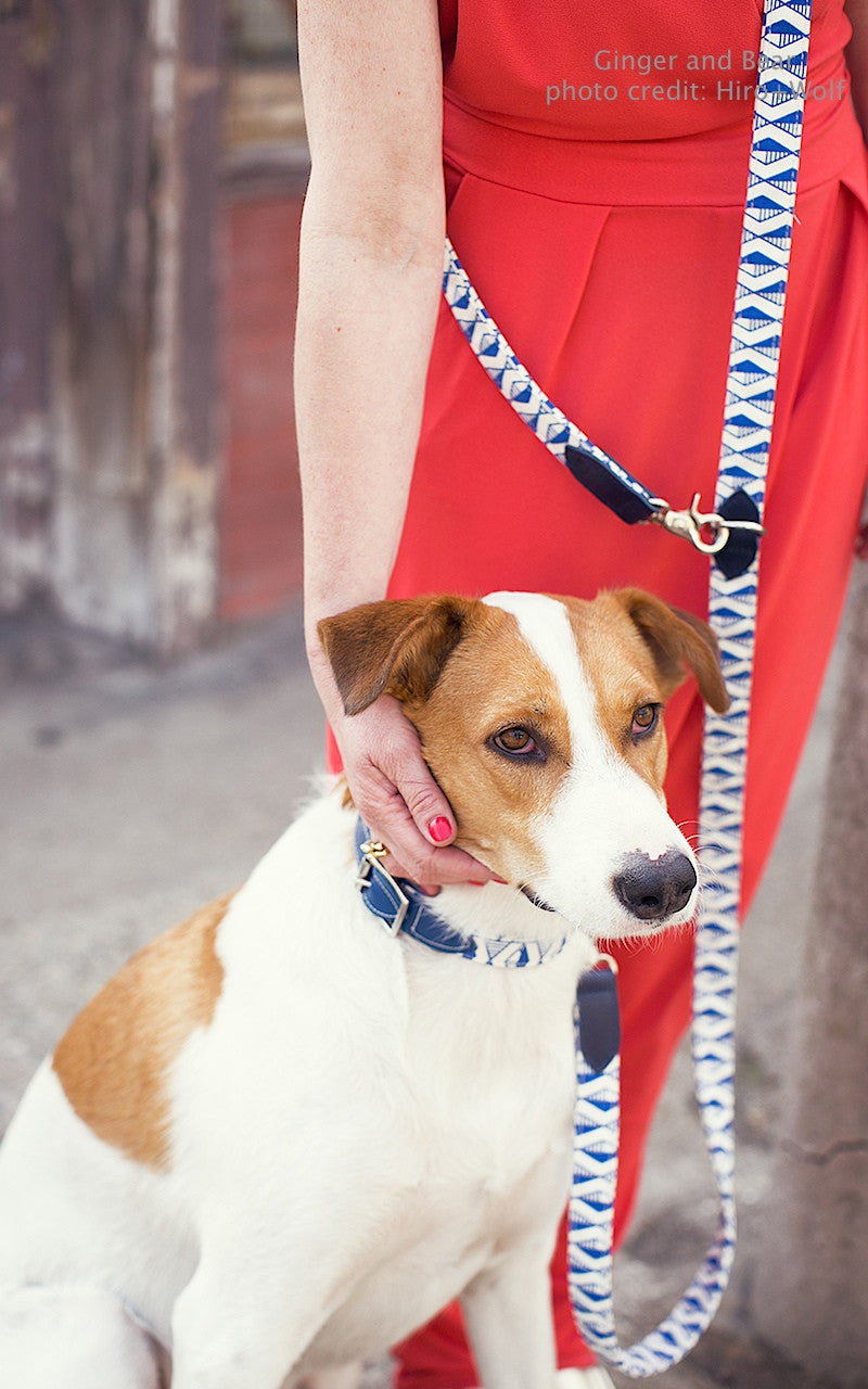 Hiro+Wolf Hands-free leash: Masai Blue Check
