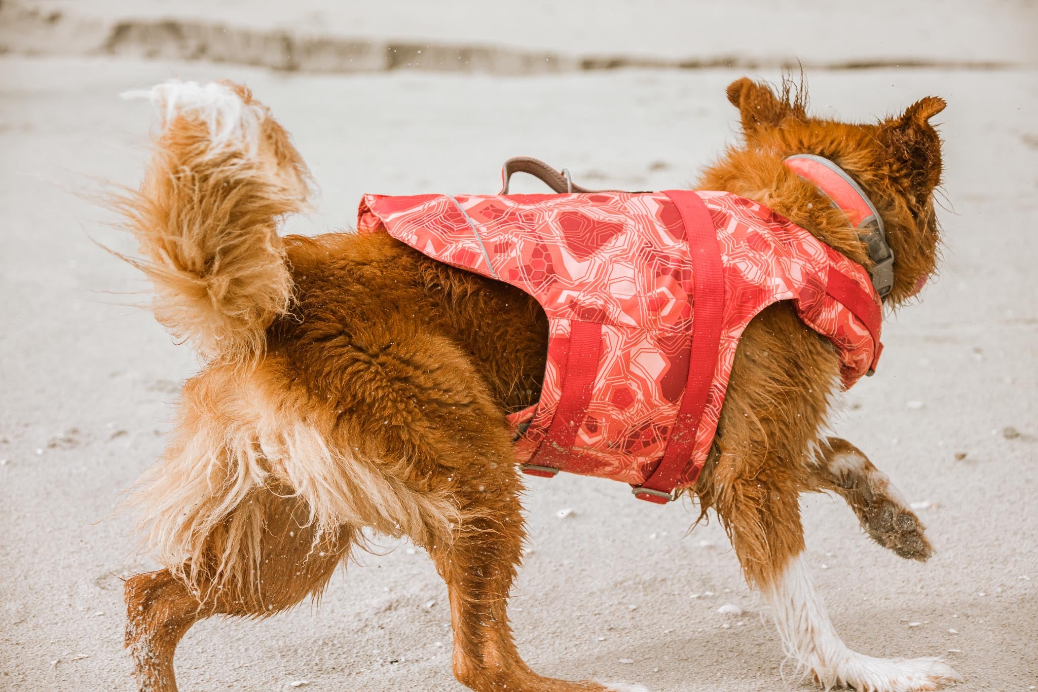 Hurtta Dog Swim Coat: Life Savior Eco