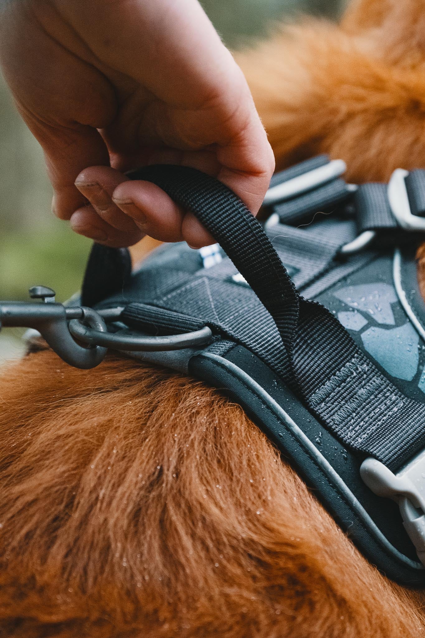 Hurtta Dog Harness: Weekend Warrior, Raven