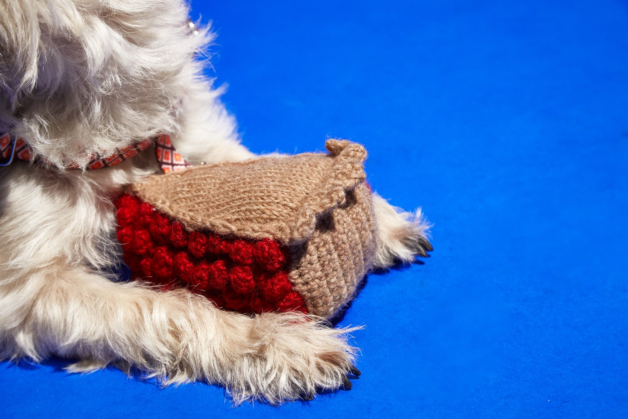 Dog Toy: Hand Knitted Cherry Pie