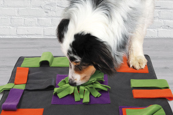 Knauders Best Happy Pad Sniff Pad for Dogs
