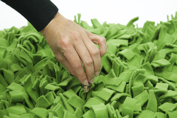 Knauders Best Schnuffelrasen Sniff Lawn for Dogs