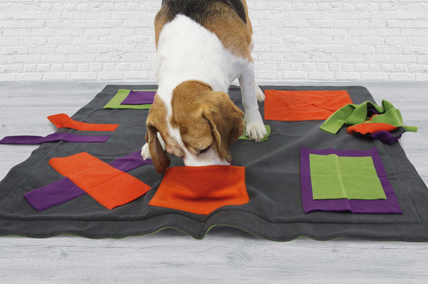 Knauders Best Sniff Pad for Dogs