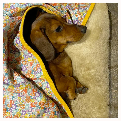 LISH Douglas Dog Duvet