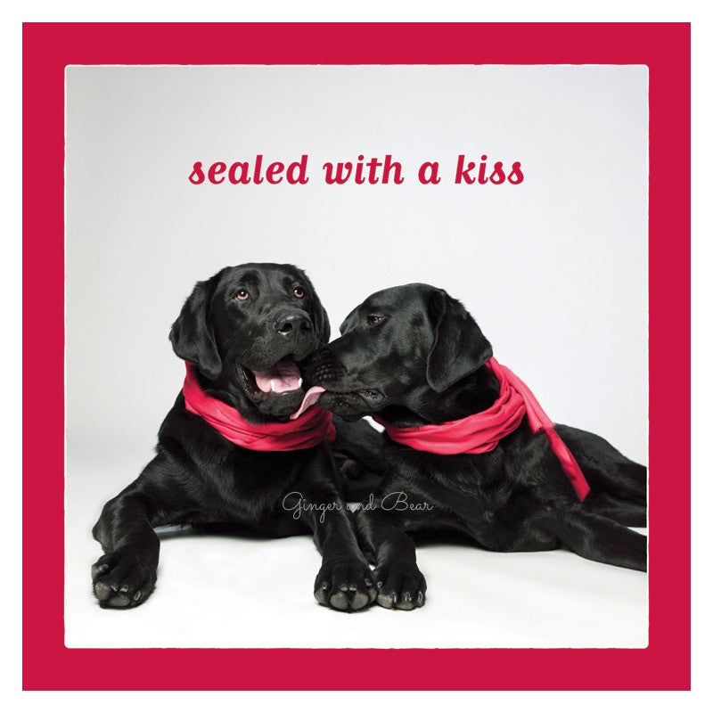 Love: Black Lab Kiss