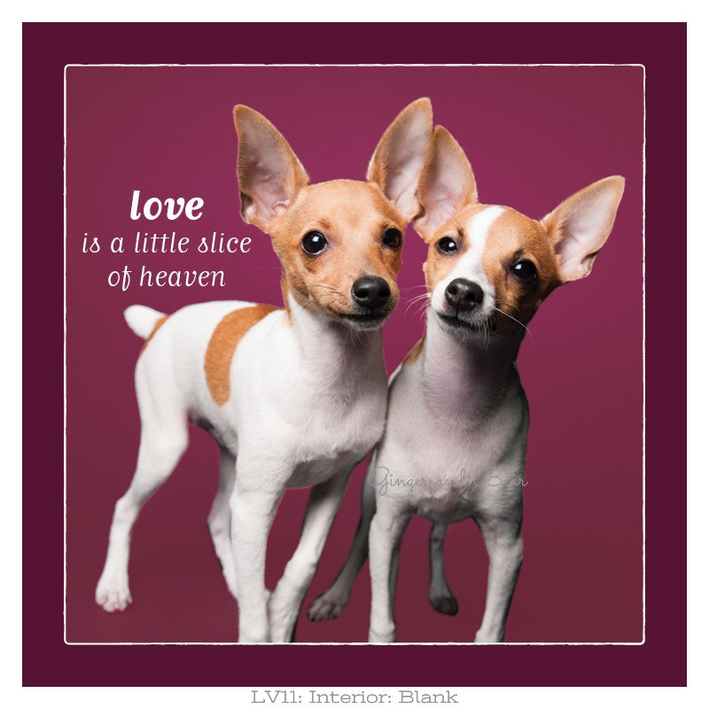 Love: Love is a Little Slice of Heaven