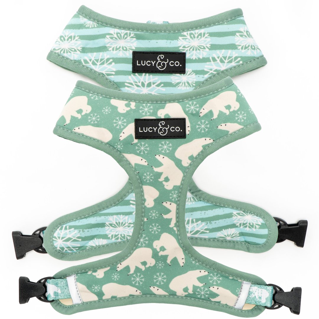 Lucy&Co Reversible Dog Harness: The Polar Bear Parade
