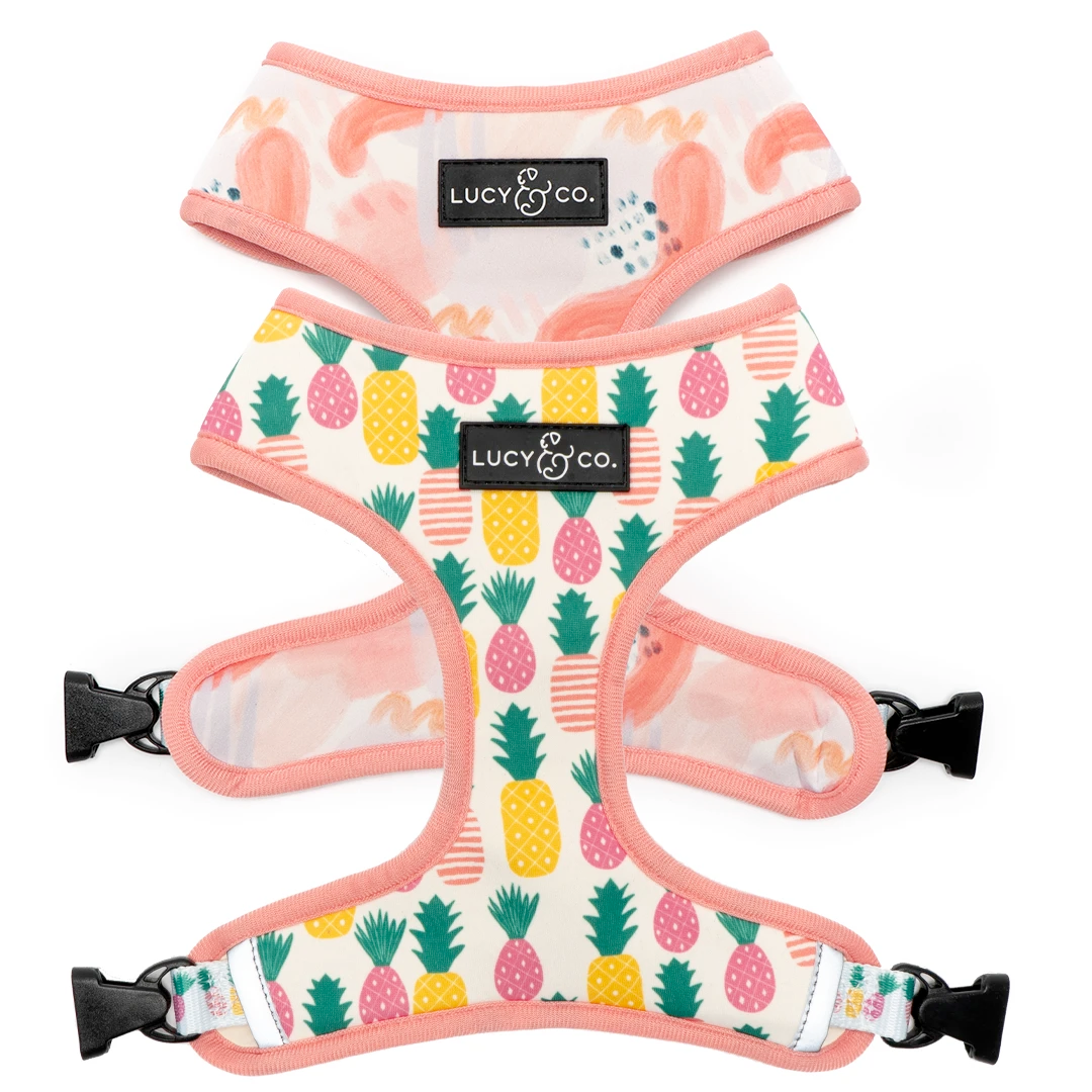 Lucy&Co Reversible Dog Harness: Poolside Chillin'