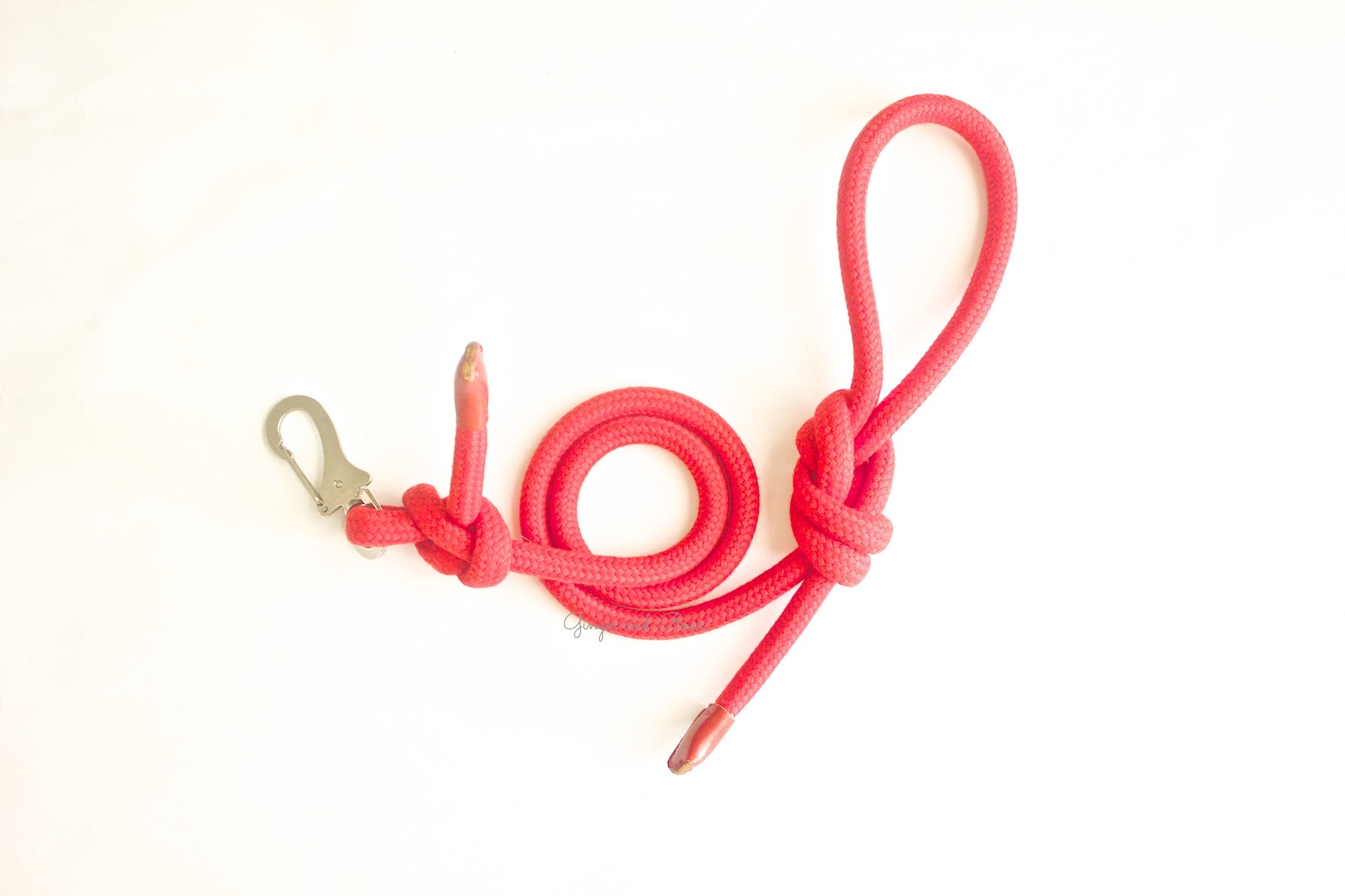 Dog Lead: Red Rope