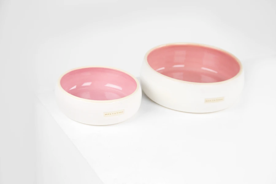 Marta Food and Water Bowl for Dogs and Cats