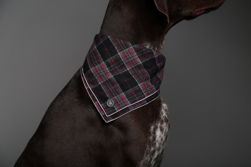 MaxBone Linus Dog Bandana