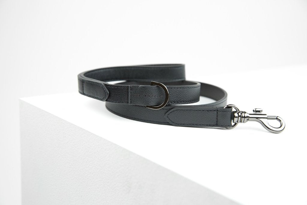 MaxBone Jewel Jet Dog Leash