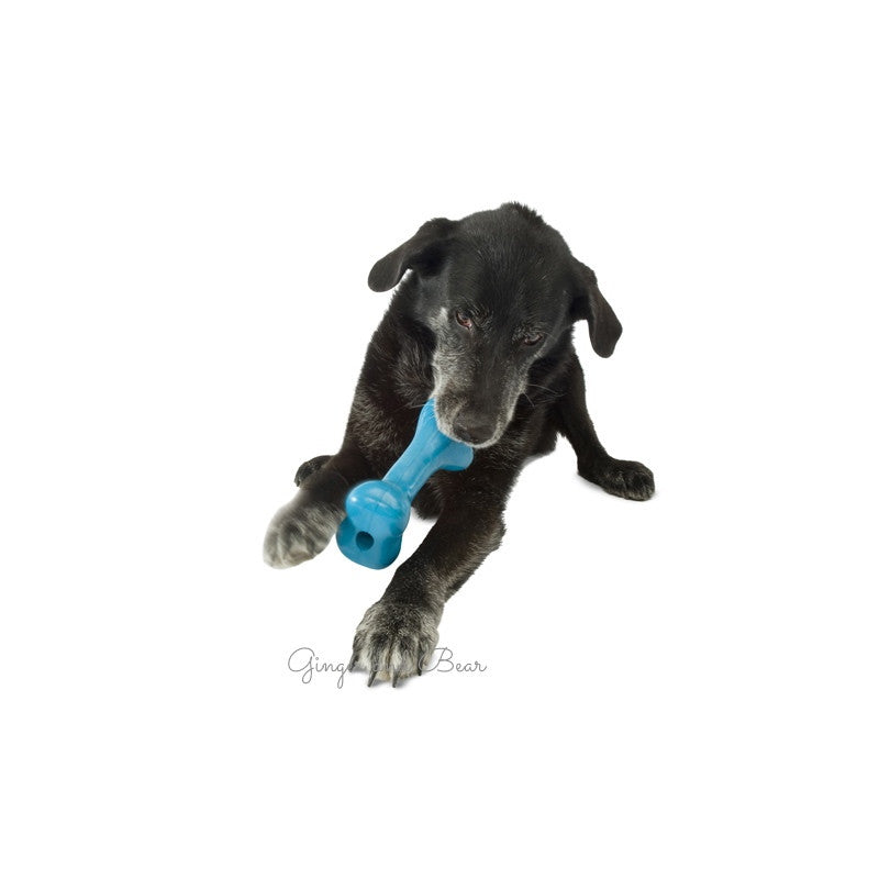 Dog Toy: OldSoul (FINAL SALE)