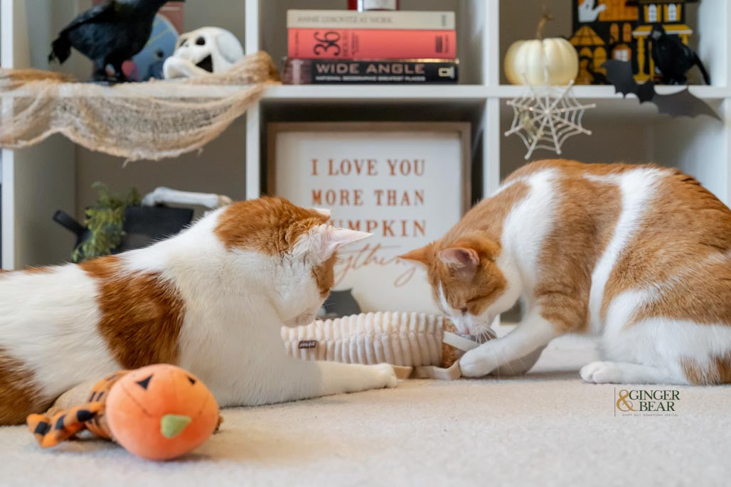 P.L.A.Y. Feline Frenzy, Catnip Kicker Toy set: Mummy