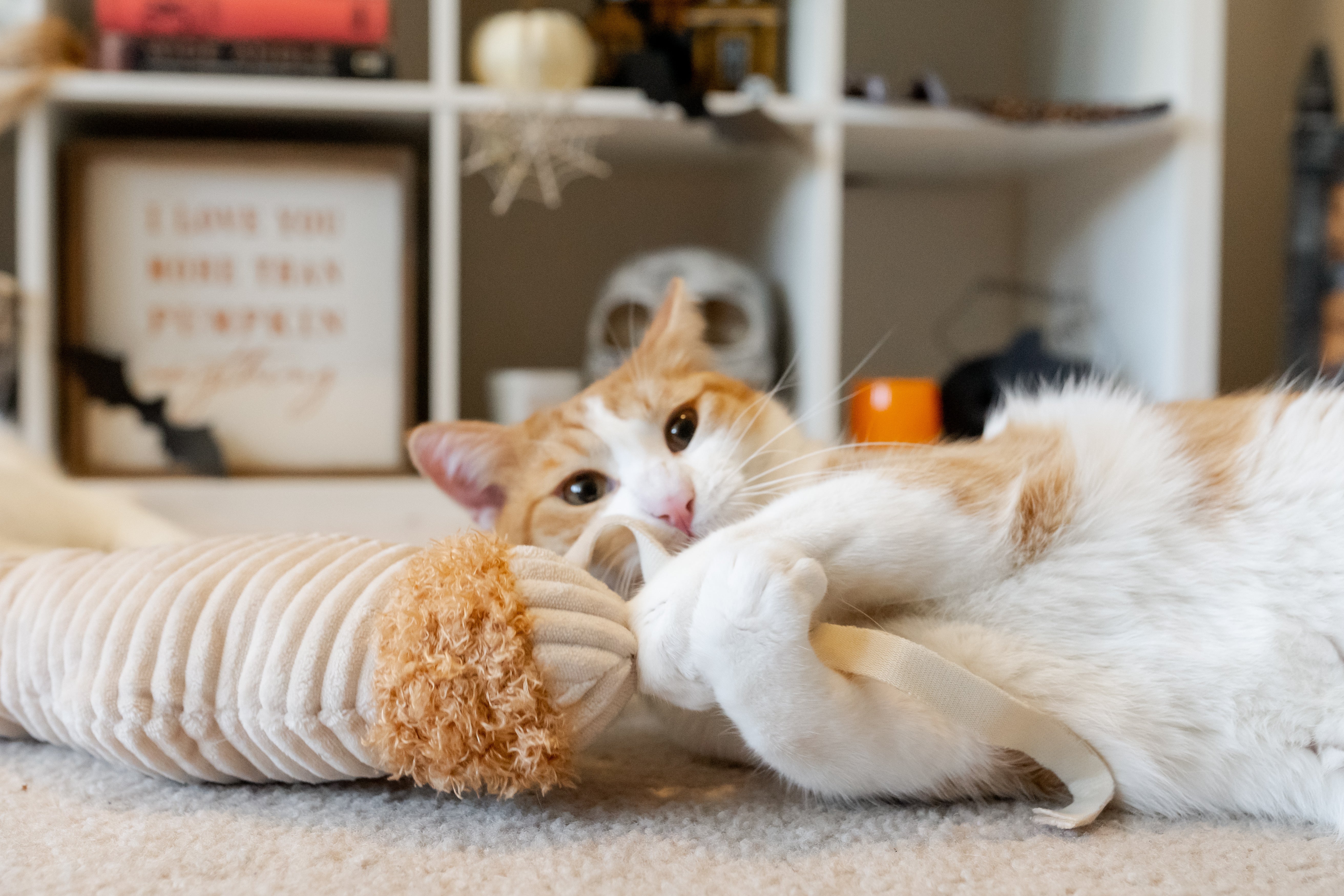 P.L.A.Y. Feline Frenzy, Catnip Kicker Toy set: Mummy