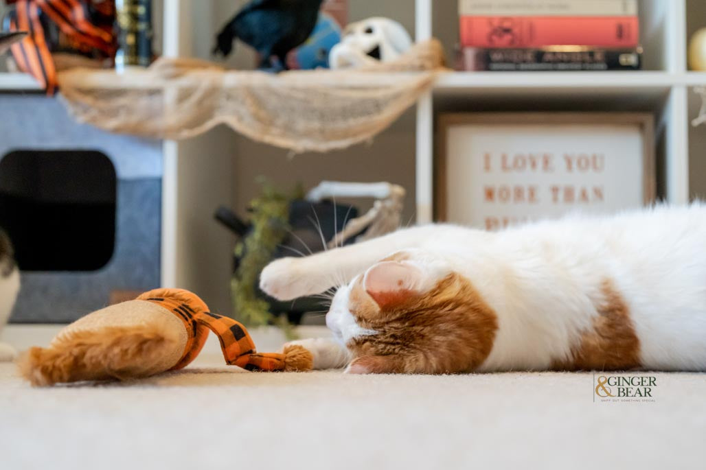 P.L.A.Y. Feline Frenzy, Catnip Kicker Toy set: Scarecrow