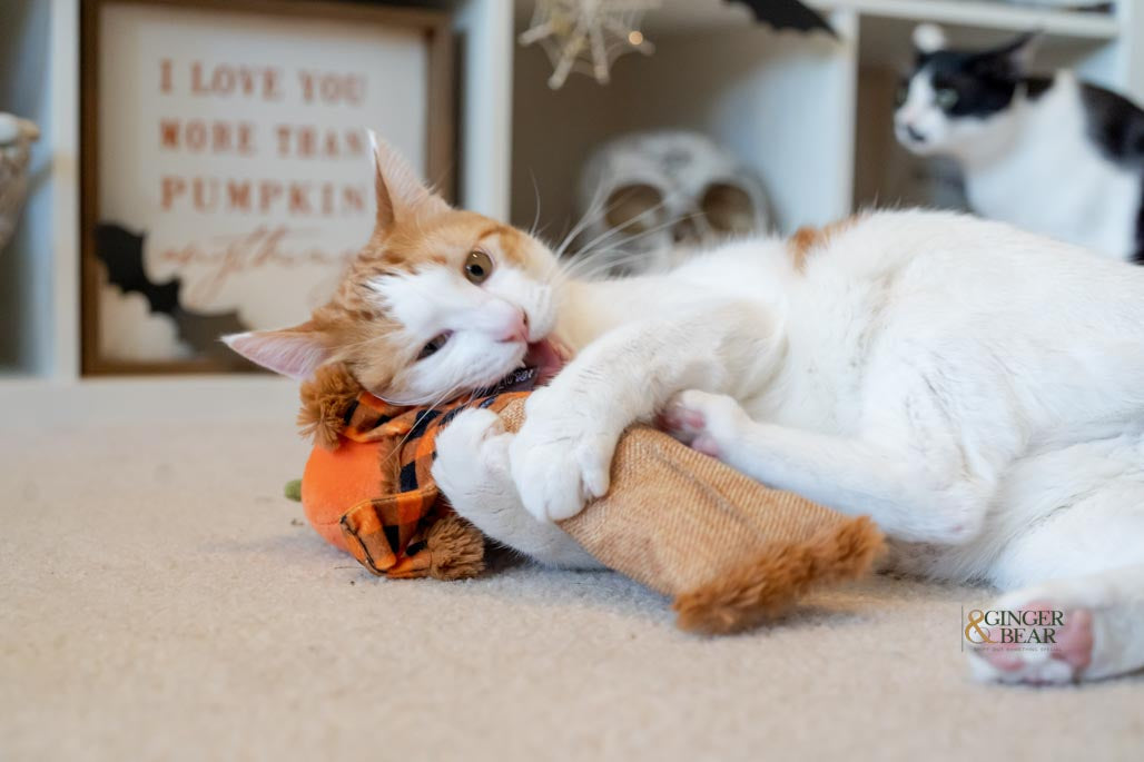 P.L.A.Y. Feline Frenzy, Catnip Kicker Toy set: Scarecrow
