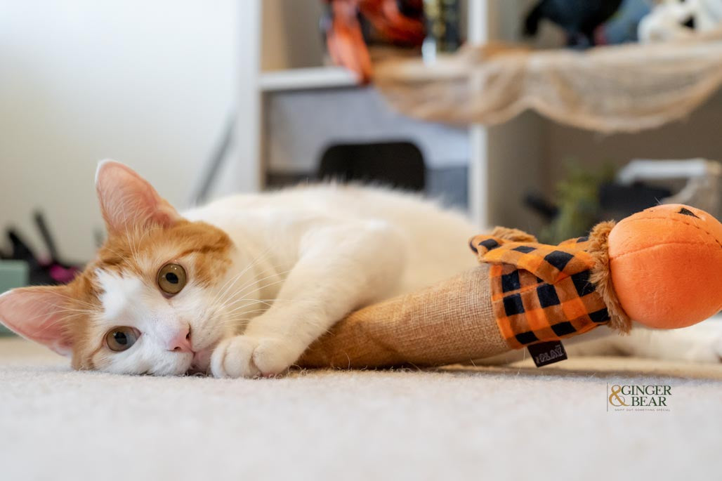 P.L.A.Y. Feline Frenzy, Catnip Kicker Toy set: Scarecrow