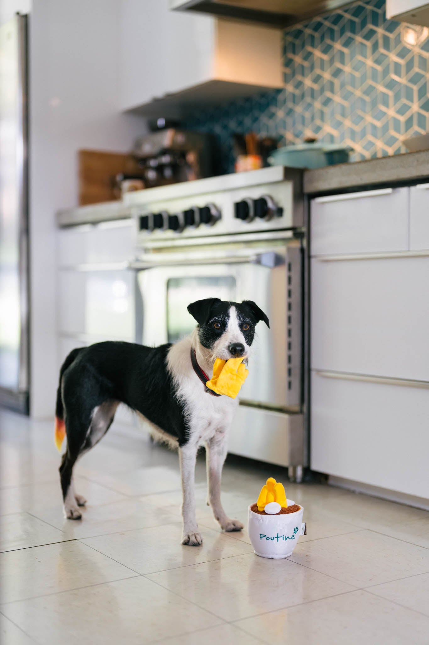 P.L.A.Y. Montreal Munchies Squeaky Plush Dog toys, Pooch-tine