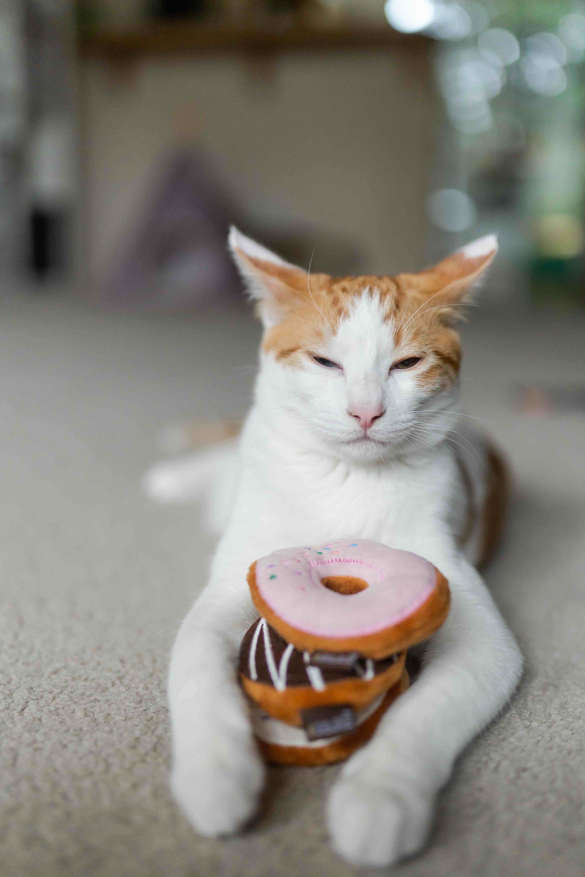 P.L.A.Y. Feline Frenzy, Catnip Toy set: Kitty Kreme Doughnuts
