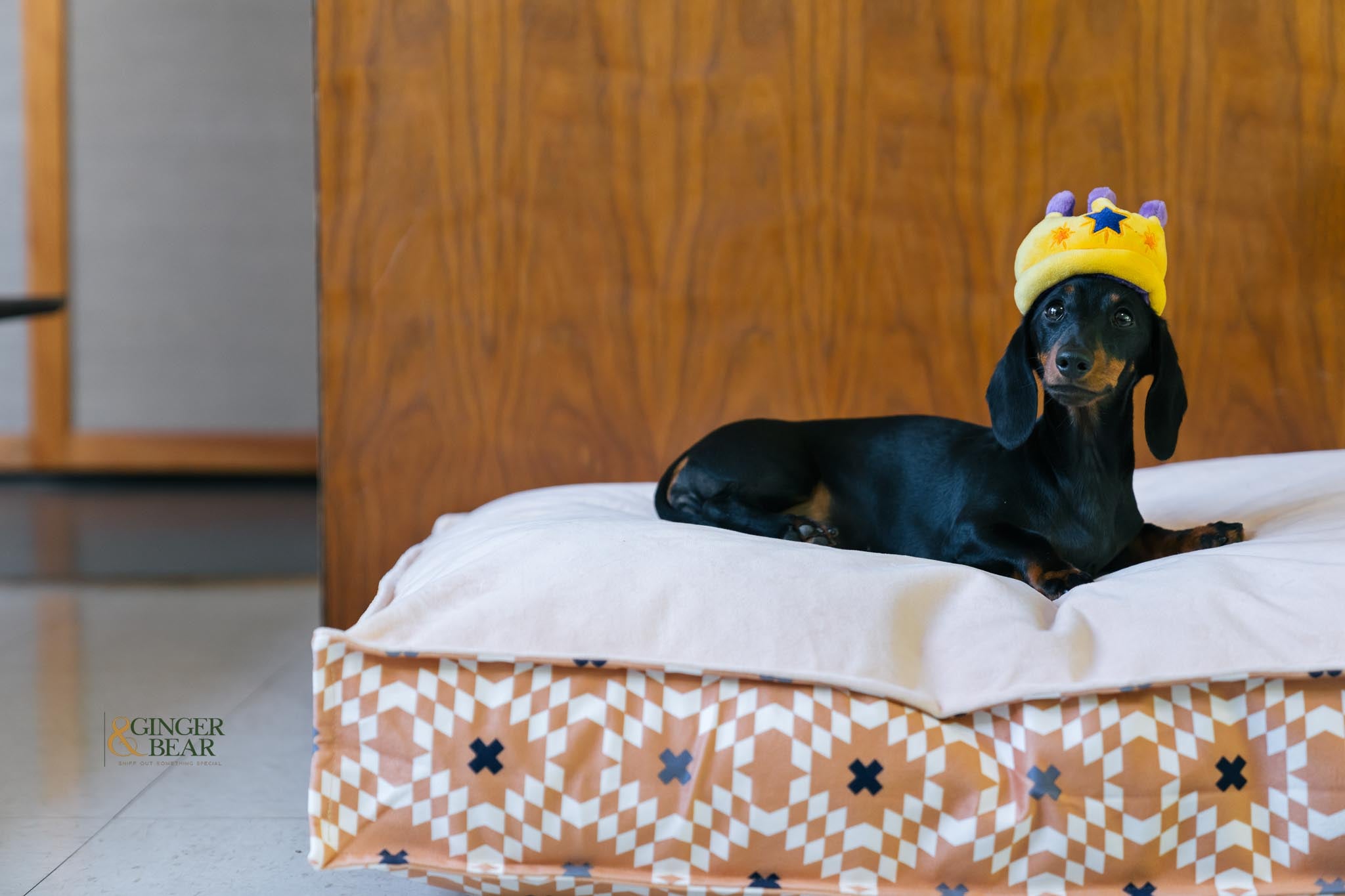 P.L.A.Y. MINI Party Time Plush Dog toys, Canine Crown (mini sized)