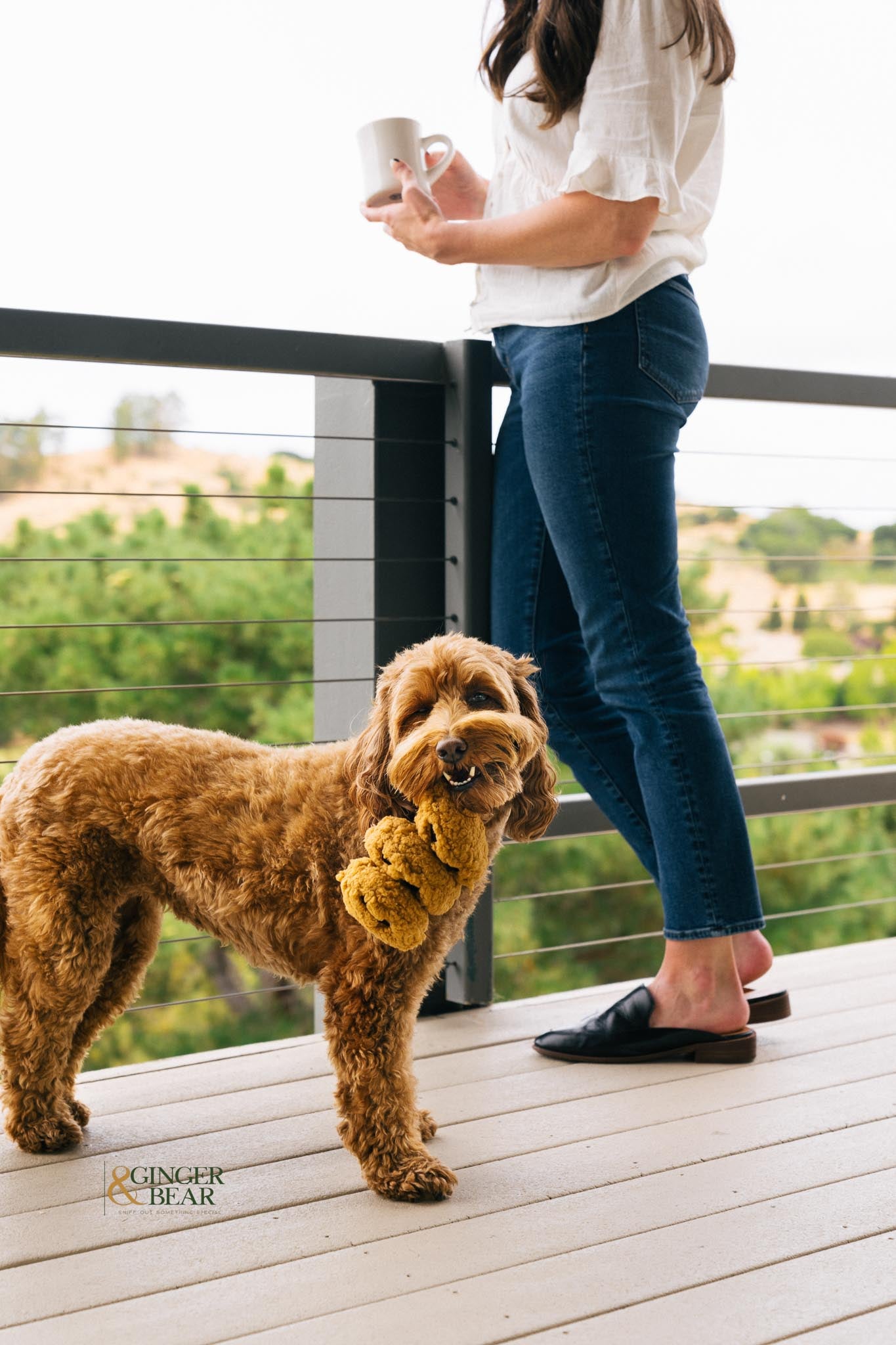 P.L.A.Y. Pup Cup Cafe Squeaky Plush Dog toys, Cookies n' Treats