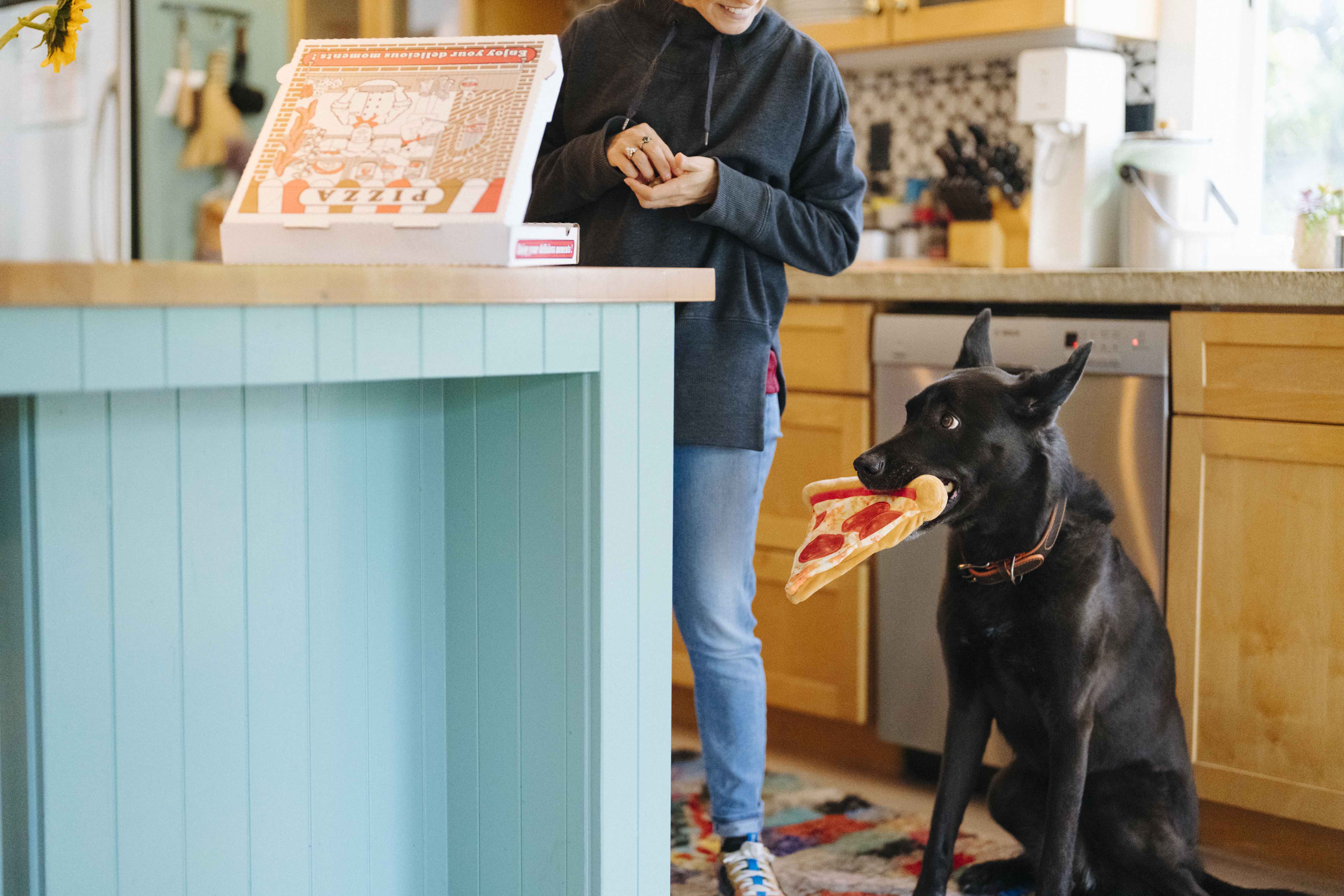 P.L.A.Y. Snack Attack Squeaky Plush Dog toys, Puppy-roni Pizza