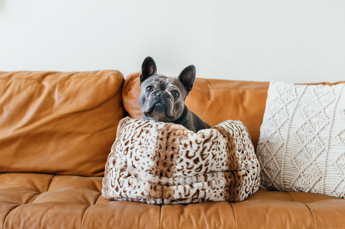 Snuggle Beds for Dogs and Cats: Leopard Brown