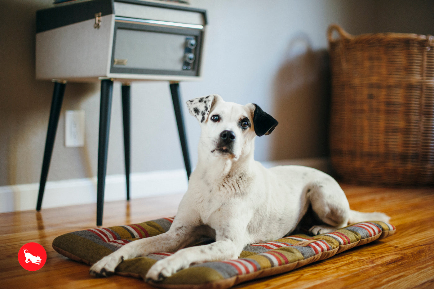 P.L.A.Y. Chill Pad for Dogs and Cats Horizon Woodland