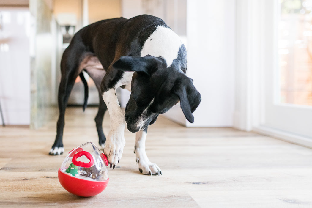 P.L.A.Y. Holiday Wobble Dog Toy