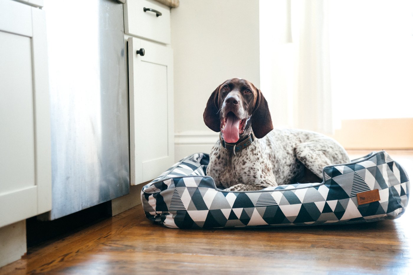 P.L.A.Y. Lounge Dog Bed Mosaic Tuxedo